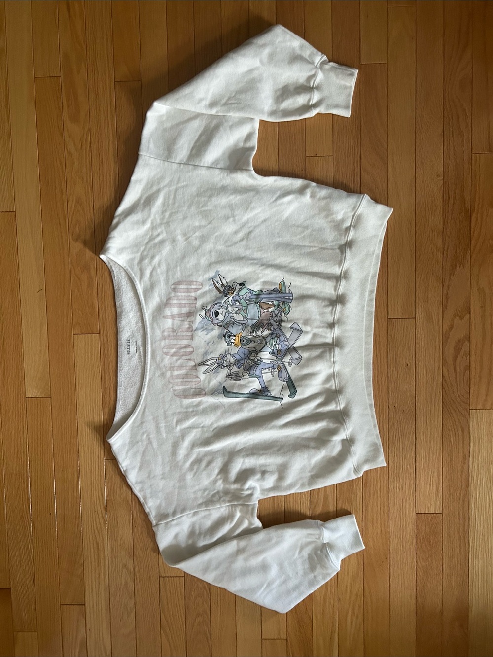 Hollister Off the Shoulder Sweatshirt